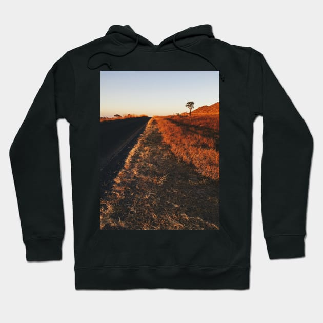 Single Tree in Dry Grassland in Warm Sunset Light Hoodie by visualspectrum